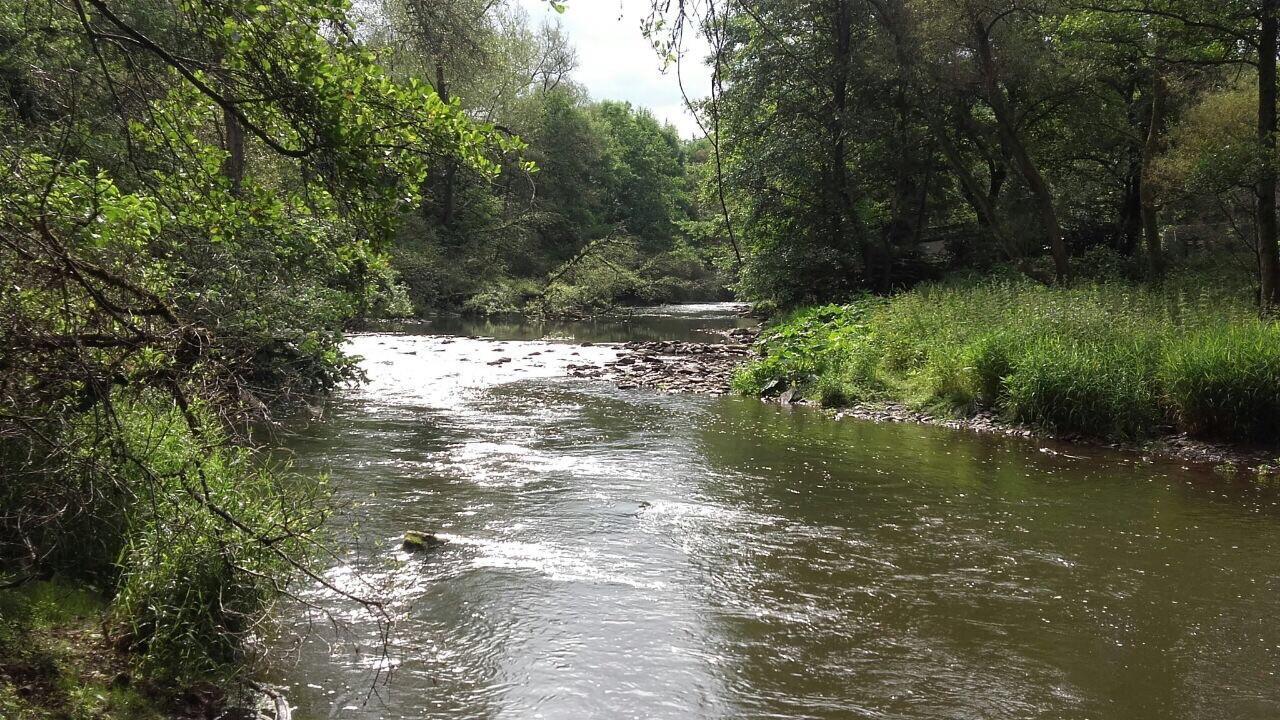 Ferienwohnungen "Am Fuerstenweg" Neuwied Bagian luar foto