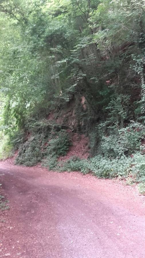 Ferienwohnungen "Am Fuerstenweg" Neuwied Bagian luar foto