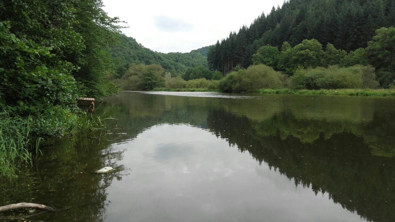 Ferienwohnungen "Am Fuerstenweg" Neuwied Bagian luar foto