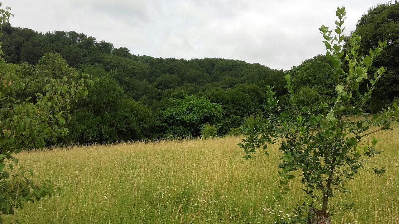 Ferienwohnungen "Am Fuerstenweg" Neuwied Bagian luar foto